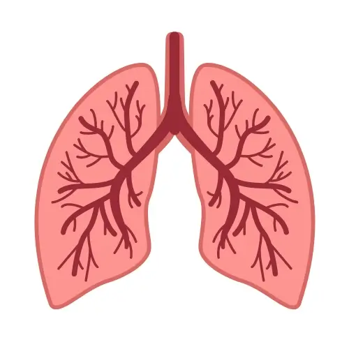 Dépistage du cancer du poumon 